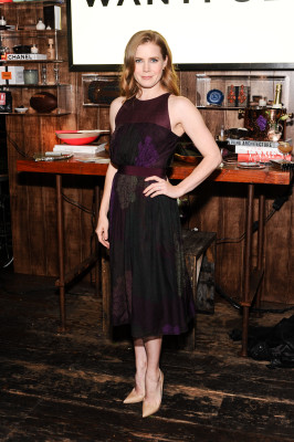 Amy Adams pic #577635