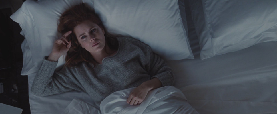 Amy Adams - Nocturnal Animals (2016) - Stills