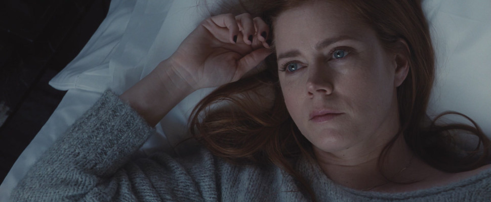 Amy Adams - Nocturnal Animals Stills