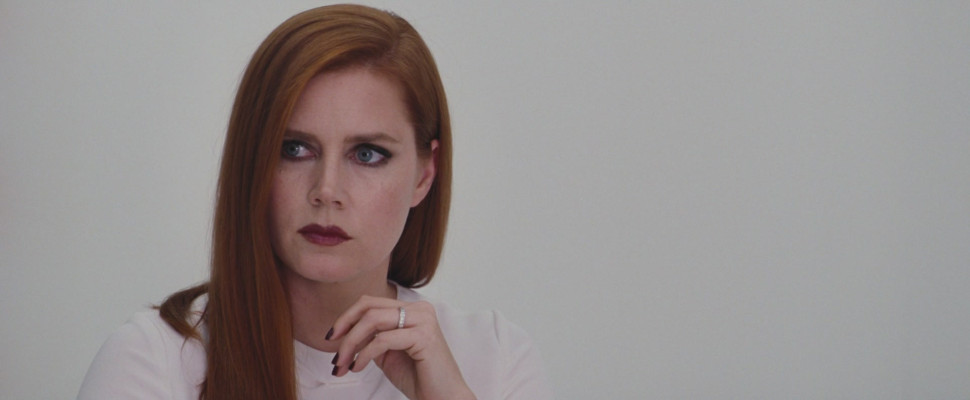 Amy Adams - Nocturnal Animals Stills