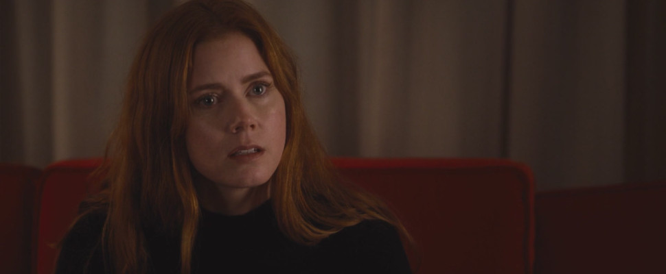 Amy Adams - Nocturnal Animals Stills
