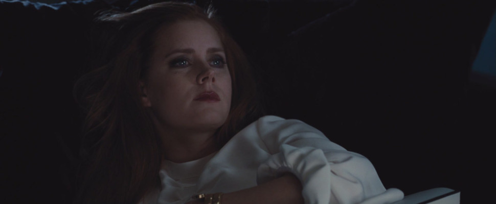 Amy Adams - Nocturnal Animals Stills