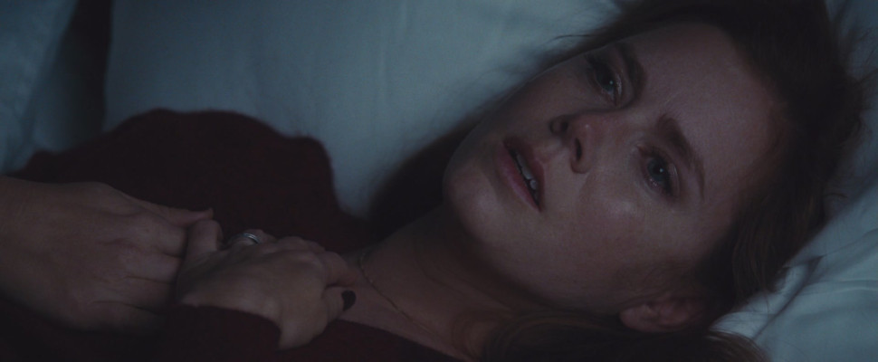 Amy Adams - Nocturnal Animals (2016) - Stills