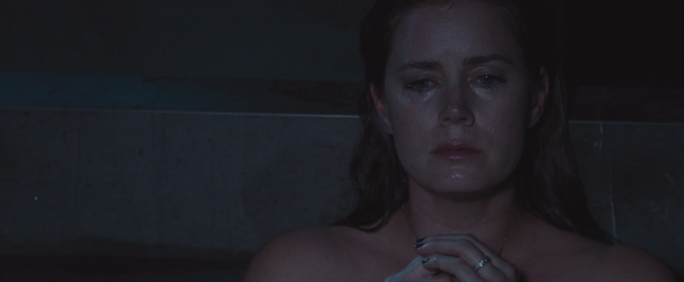 Amy Adams - Nocturnal Animals Stills
