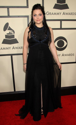 Amy Lee pic #832965
