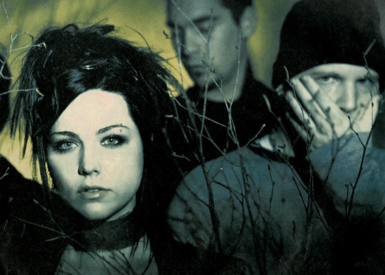 Amy Lee pic #832964
