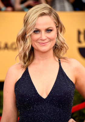 photo 21 in Amy Poehler gallery [id788816] 2015-02-01 00:00:00