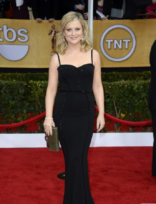 Amy Poehler pic #617388