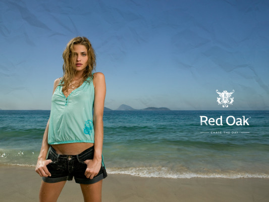 Ana Beatriz Barros pic #90572