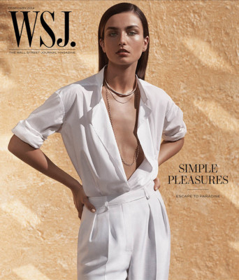 photo 4 in Andreea Diaconu gallery [id697245] 2014-02-07 00:00:00