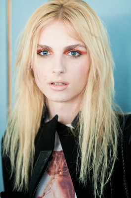 Andrej Pejic pic #454736