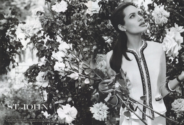 Angelina Jolie pic #81613
