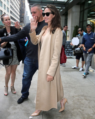 photo 22 in Angelina Jolie gallery [id1005676] 2017-10-22 00:00:00