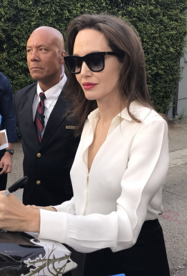 photo 21 in Angelina Jolie gallery [id1005677] 2017-10-22 00:00:00