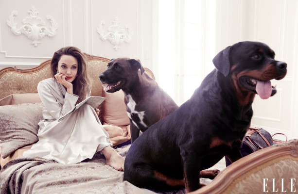 Angelina Jolie by Alexi Lubomirski for Elle Magazine (September 2019)