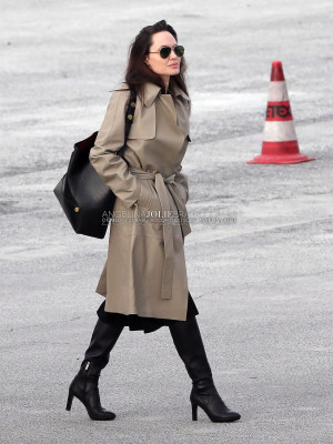 Angelina Jolie in Brussels 01/31/2018
