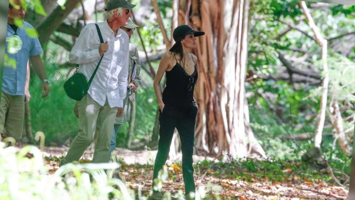 photo 6 in Angelina Jolie gallery [id655632] 2013-08-07 00:00:00