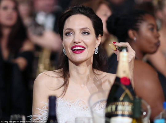 Angelina Jolie pic #1030297
