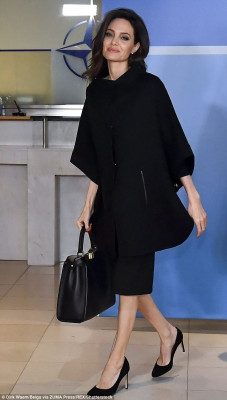 Angelina Jolie pic #1036655