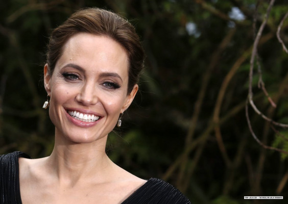 Angelina Jolie pic #729222