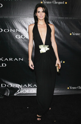 Angie Harmon pic #235376