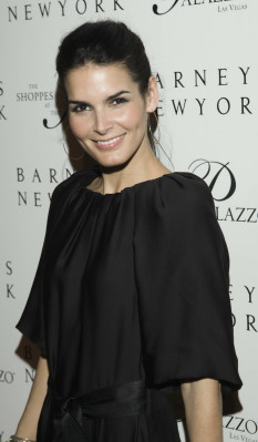 Angie Harmon pic #236419