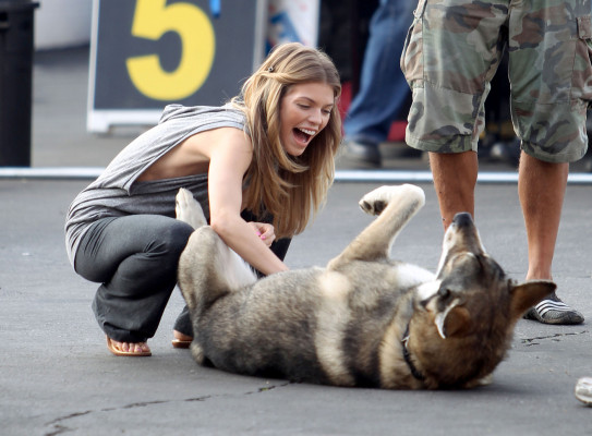 AnnaLynne McCord pic #345813