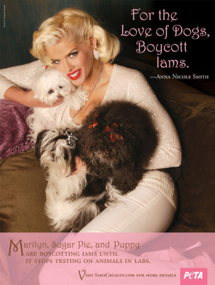 photo 24 in Anna Nicole Smith gallery [id70309] -0001-11-30 00:00:00