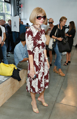 Anna Wintour pic #665335