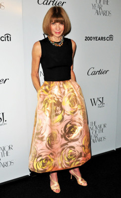 Anna Wintour pic #597827