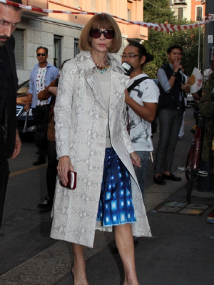 Anna Wintour pic #565585