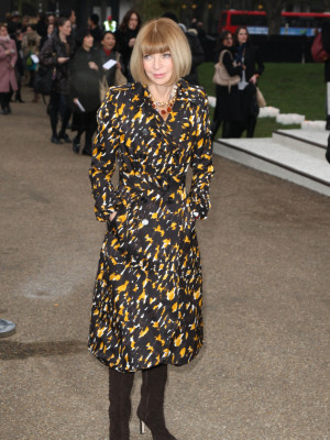 Anna Wintour pic #363724