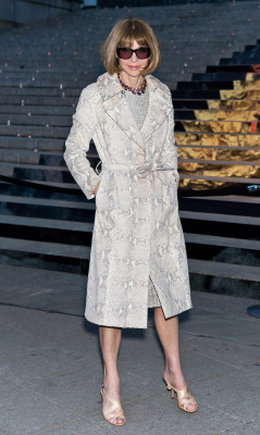 Anna Wintour pic #724603