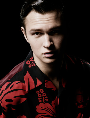 photo 15 in Ansel Elgort gallery [id920137] 2016-10-31 00:00:00