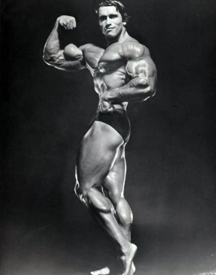 photo 8 in Schwarzenegger gallery [id283773] 2010-08-09 00:00:00