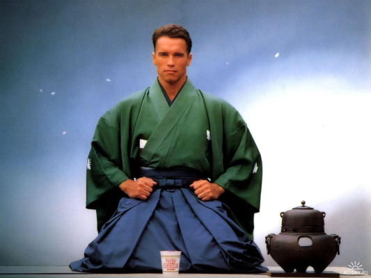 Arnold Schwarzenegger pic #294883