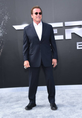 photo 10 in Arnold Schwarzenegger gallery [id815981] 2015-07-09 00:00:00