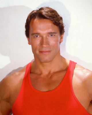 Arnold Schwarzenegger pic #591098