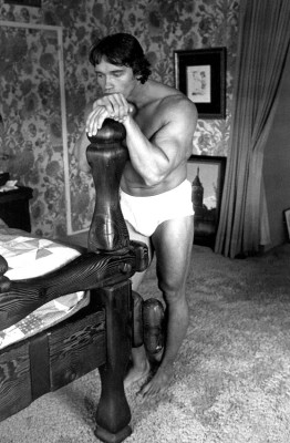 Arnold Schwarzenegger pic #289342