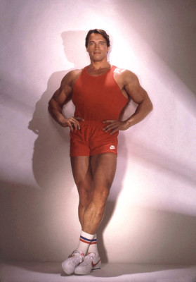 Arnold Schwarzenegger pic #591095