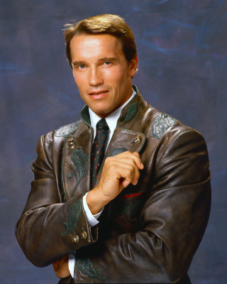Arnold Schwarzenegger pic #591216