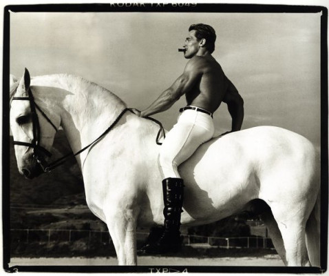 Arnold Schwarzenegger pic #66476