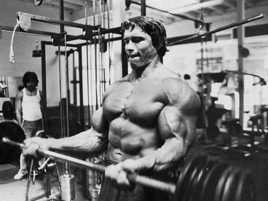 Arnold Schwarzenegger pic #294894