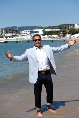 Arnold Schwarzenegger pic #967439