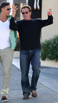 Arnold Schwarzenegger pic #540509