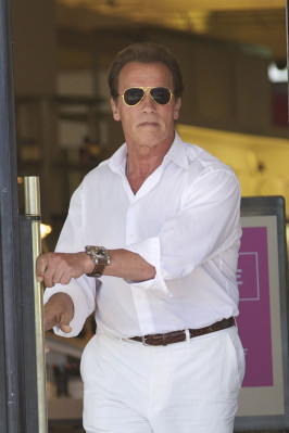 Arnold Schwarzenegger pic #531854