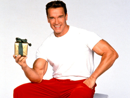 Arnold Schwarzenegger pic #294891