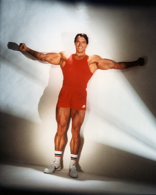 photo 3 in Arnold Schwarzenegger gallery [id889276] 2016-05-27 00:00:00