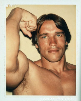 Arnold Schwarzenegger pic #374942