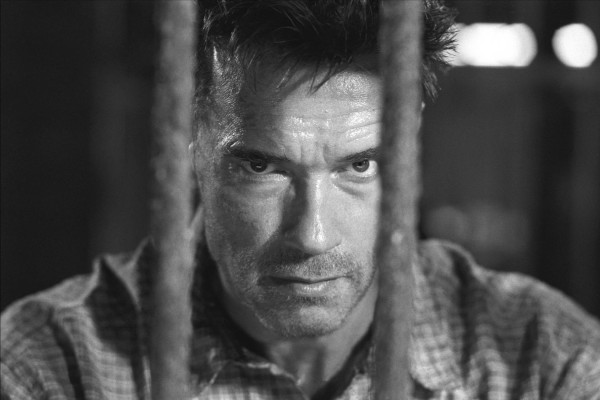 photo 19 in Arnold Schwarzenegger gallery [id186518] 2009-09-14 00:00:00